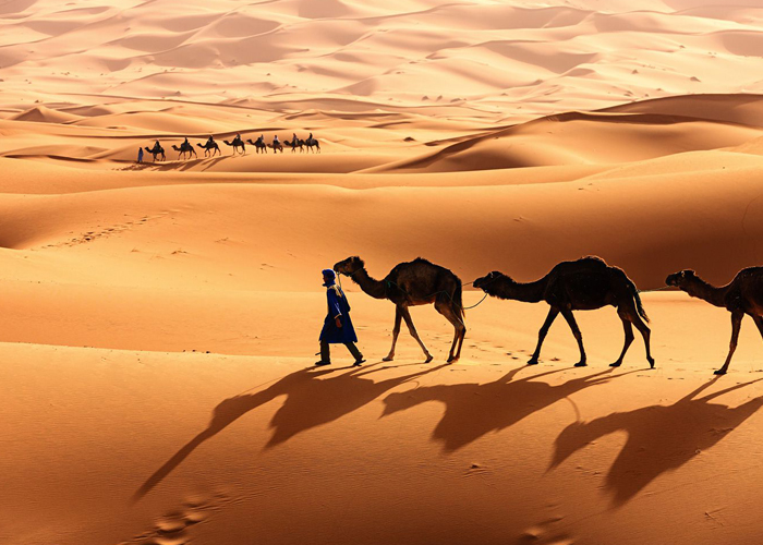 sahara-tunisie-img